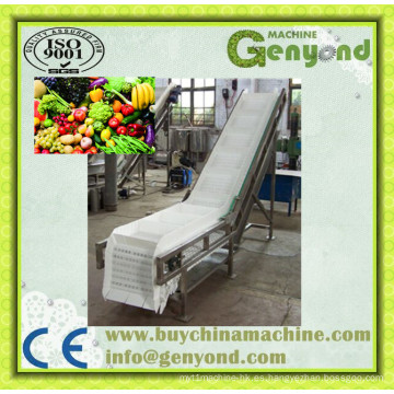 Línea de procesamiento de fruta limpia de verduras en China